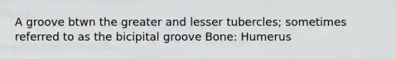 A groove btwn the greater and lesser tubercles; sometimes referred to as the bicipital groove Bone: Humerus