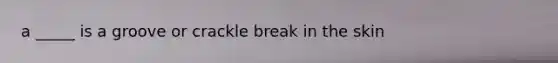 a _____ is a groove or crackle break in the skin