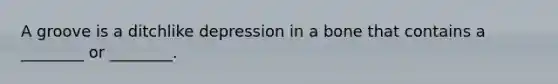 A groove is a ditchlike depression in a bone that contains a ________ or ________.