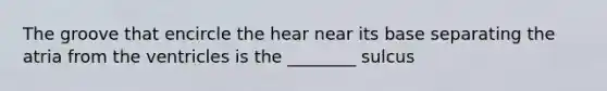 The groove that encircle the hear near its base separating the atria from the ventricles is the ________ sulcus