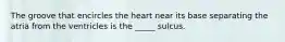 The groove that encircles the heart near its base separating the atria from the ventricles is the _____ sulcus.