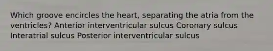 Which groove encircles the heart, separating the atria from the ventricles? Anterior interventricular sulcus Coronary sulcus Interatrial sulcus Posterior interventricular sulcus