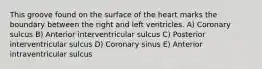 This groove found on the surface of the heart marks the boundary between the right and left ventricles. A) Coronary sulcus B) Anterior interventricular sulcus C) Posterior interventricular sulcus D) Coronary sinus E) Anterior intraventricular sulcus