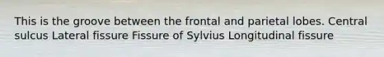 This is the groove between the frontal and parietal lobes. Central sulcus Lateral fissure Fissure of Sylvius Longitudinal fissure