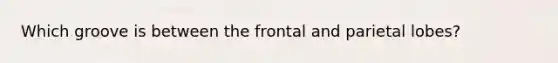 Which groove is between the frontal and parietal lobes?