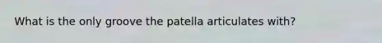 What is the only groove the patella articulates with?