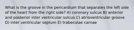 What is the groove in the pericardium that separates the left side of the heart from the right side? A) coronary sulcus B) anterior and posterior inter ventricular sulcus C) atrioventricular groove D) inter ventricular septum E) trabeculae carnae