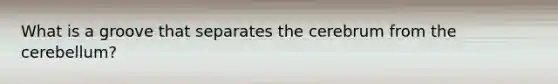 What is a groove that separates the cerebrum from the cerebellum?