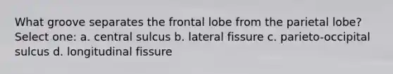 What groove separates the frontal lobe from the parietal lobe? Select one: a. central sulcus b. lateral fissure c. parieto-occipital sulcus d. longitudinal fissure