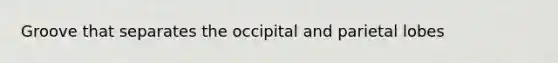 Groove that separates the occipital and parietal lobes