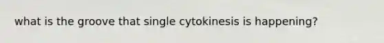 what is the groove that single cytokinesis is happening?