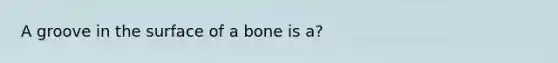 A groove in the surface of a bone is a?