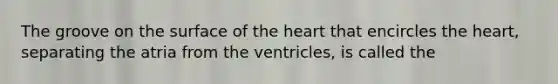 The groove on the surface of the heart that encircles the heart, separating the atria from the ventricles, is called the