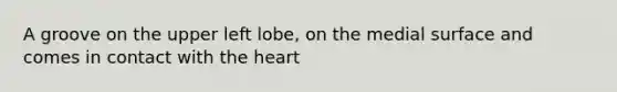 A groove on the upper left lobe, on the medial surface and comes in contact with <a href='https://www.questionai.com/knowledge/kya8ocqc6o-the-heart' class='anchor-knowledge'>the heart</a>