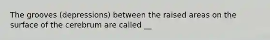 The grooves (depressions) between the raised areas on the surface of the cerebrum are called __