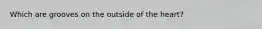 Which are grooves on the outside of the heart?