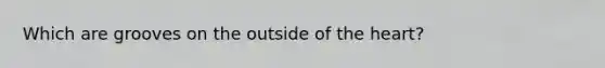 Which are grooves on the outside of the heart?