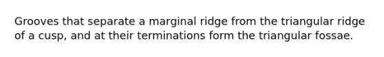 Grooves that separate a marginal ridge from the triangular ridge of a cusp, and at their terminations form the triangular fossae.