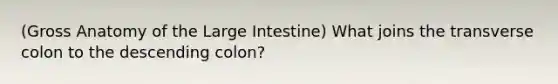 (Gross Anatomy of the Large Intestine) What joins the transverse colon to the descending colon?