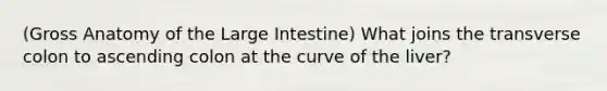 (Gross Anatomy of the Large Intestine) What joins the transverse colon to ascending colon at the curve of the liver?