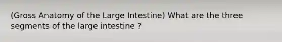 (Gross Anatomy of the Large Intestine) What are the three segments of the large intestine ?