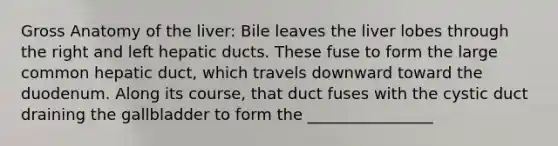 Gross Anatomy of the liver: Bile leaves the liver lobes through the right and left hepatic ducts. These fuse to form the large common hepatic duct, which travels downward toward the duodenum. Along its course, that duct fuses with the cystic duct draining the gallbladder to form the ________________