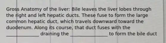 Gross Anatomy of the liver: Bile leaves the liver lobes through the right and left hepatic ducts. These fuse to form the large common hepatic duct, which travels downward toward the duodenum. Along its course, that duct fuses with the ______________ draining the ________________ to form the bile duct