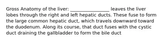 Gross Anatomy of the liver: _________________ leaves the liver lobes through the right and left hepatic ducts. These fuse to form the large common hepatic duct, which travels downward toward the duodenum. Along its course, that duct fuses with the cystic duct draining the gallbladder to form the bile duct