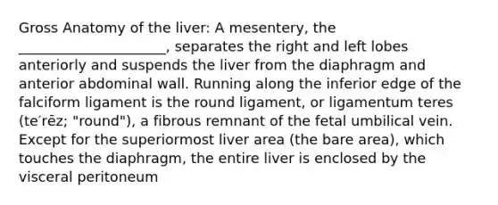 Gross Anatomy of the liver: A mesentery, the _____________________, separates the right and left lobes anteriorly and suspends the liver from the diaphragm and anterior abdominal wall. Running along the inferior edge of the falciform ligament is the round ligament, or ligamentum teres (te′rēz; "round"), a fibrous remnant of the fetal umbilical vein. Except for the superiormost liver area (the bare area), which touches the diaphragm, the entire liver is enclosed by the visceral peritoneum