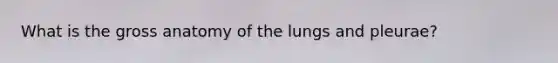 What is the gross anatomy of the lungs and pleurae?