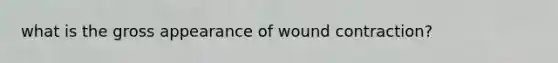 what is the gross appearance of wound contraction?