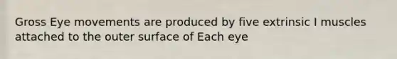 Gross Eye movements are produced by five extrinsic I muscles attached to the outer surface of Each eye