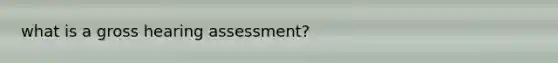 what is a gross hearing assessment?