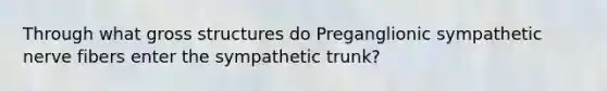 Through what gross structures do Preganglionic sympathetic nerve fibers enter the sympathetic trunk?