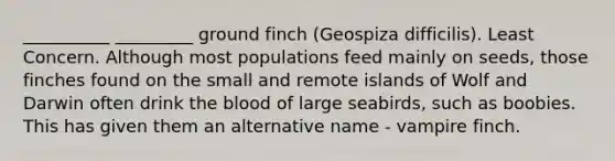 __________ _________ ground finch (Geospiza difficilis). Least Concern. Although most populations feed mainly on seeds, those finches found on the small and remote islands of Wolf and Darwin often drink <a href='https://www.questionai.com/knowledge/k7oXMfj7lk-the-blood' class='anchor-knowledge'>the blood</a> of large seabirds, such as boobies. This has given them an alternative name - vampire finch.