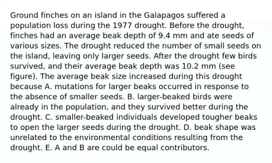 Ground finches on an island in the Galapagos suffered a population loss during the 1977 drought. Before the drought, finches had an average beak depth of 9.4 mm and ate seeds of various sizes. The drought reduced the number of small seeds on the island, leaving only larger seeds. After the drought few birds survived, and their average beak depth was 10.2 mm (see figure). The average beak size increased during this drought because A. mutations for larger beaks occurred in response to the absence of smaller seeds. B. larger-beaked birds were already in the population, and they survived better during the drought. C. smaller-beaked individuals developed tougher beaks to open the larger seeds during the drought. D. beak shape was unrelated to the environmental conditions resulting from the drought. E. A and B are could be equal contributors.