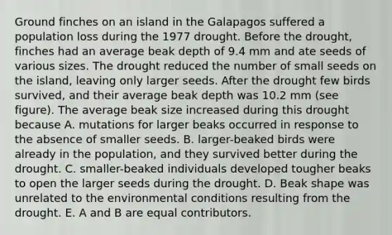 Ground finches on an island in the Galapagos suffered a population loss during the 1977 drought. Before the drought, finches had an average beak depth of 9.4 mm and ate seeds of various sizes. The drought reduced the number of small seeds on the island, leaving only larger seeds. After the drought few birds survived, and their average beak depth was 10.2 mm (see figure). The average beak size increased during this drought because A. mutations for larger beaks occurred in response to the absence of smaller seeds. B. larger-beaked birds were already in the population, and they survived better during the drought. C. smaller-beaked individuals developed tougher beaks to open the larger seeds during the drought. D. Beak shape was unrelated to the environmental conditions resulting from the drought. E. A and B are equal contributors.