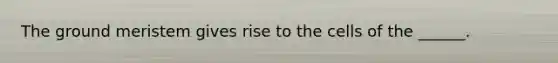 The ground meristem gives rise to the cells of the ______.