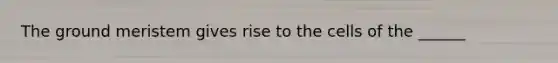 The ground meristem gives rise to the cells of the ______