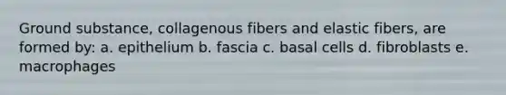 Ground substance, collagenous fibers and elastic fibers, are formed by: a. epithelium b. fascia c. basal cells d. fibroblasts e. macrophages