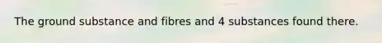 The ground substance and fibres and 4 substances found there.