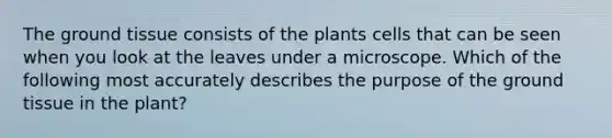 The ground tissue consists of the plants cells that can be seen when you look at the leaves under a microscope. Which of the following most accurately describes the purpose of the ground tissue in the plant?