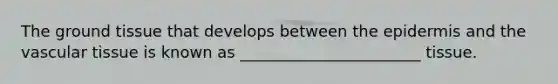 The ground tissue that develops between the epidermis and the vascular tissue is known as _______________________ tissue.
