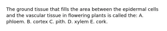 The ground tissue that fills the area between the epidermal cells and the vascular tissue in flowering plants is called the: A. phloem. B. cortex C. pith. D. xylem E. cork.