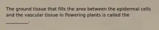 The ground tissue that fills the area between the epidermal cells and the vascular tissue in flowering plants is called the __________.