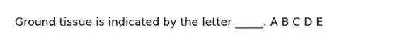 Ground tissue is indicated by the letter _____. A B C D E