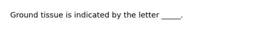 Ground tissue is indicated by the letter _____.