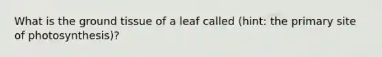 What is the ground tissue of a leaf called (hint: the primary site of photosynthesis)?