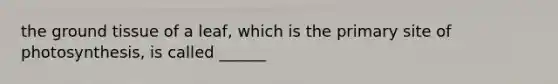 the ground tissue of a leaf, which is the primary site of photosynthesis, is called ______