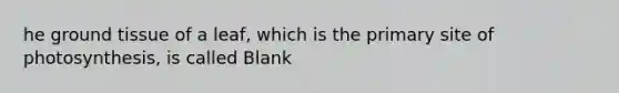 he ground tissue of a leaf, which is the primary site of photosynthesis, is called Blank